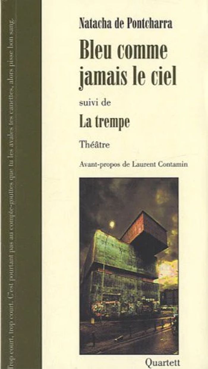Livre -Bleu comme jamais le ciel: Suivi de La trempe