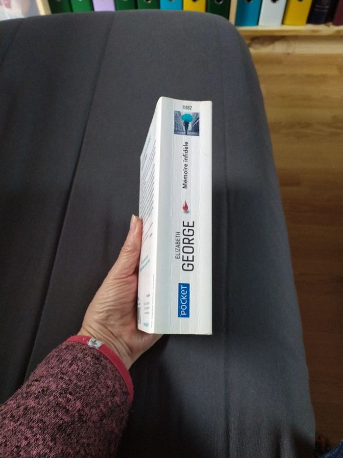 Mémoire infidèle d'Elizabeth George - photo numéro 3