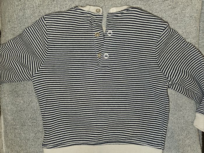 Pull Tigre - photo numéro 2