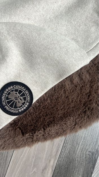 Polaire canada goose