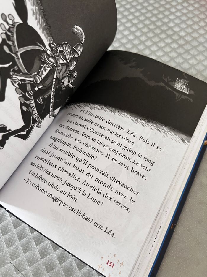 La cabane magique éditions collector. Les 4 premier tomes réunis - photo numéro 4