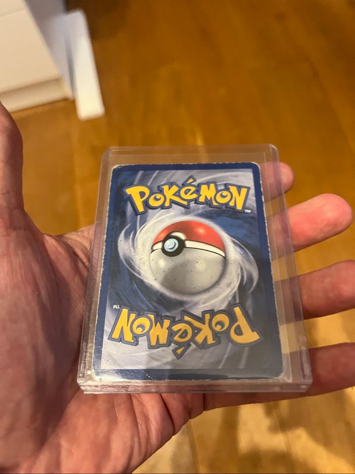 Brasegali ex Pokémon - photo numéro 2