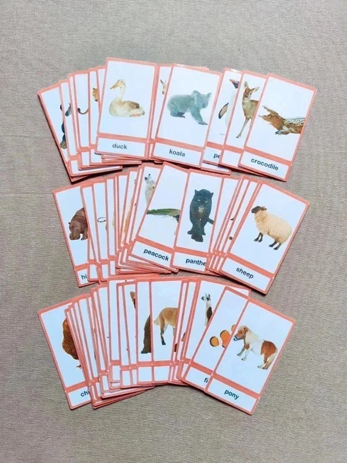 Lot de 56 cartes de nomenclature sur les animaux en Anglais Montessori - photo numéro 4