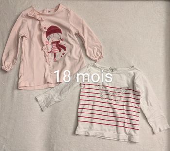 Lot 2 tee shirt manches longues 18 mois