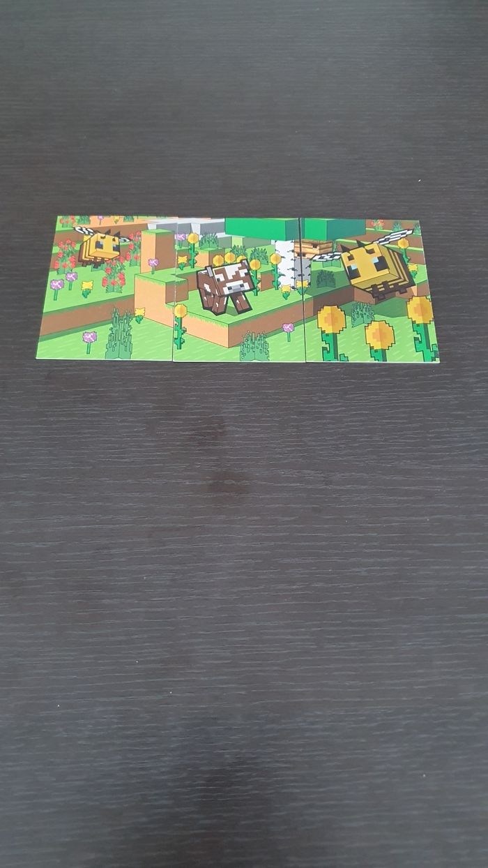 Cartes Minecraft Springtime complet
