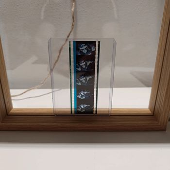 Pellicule démon slayer Tengen