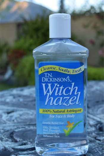 Witch Hazel 