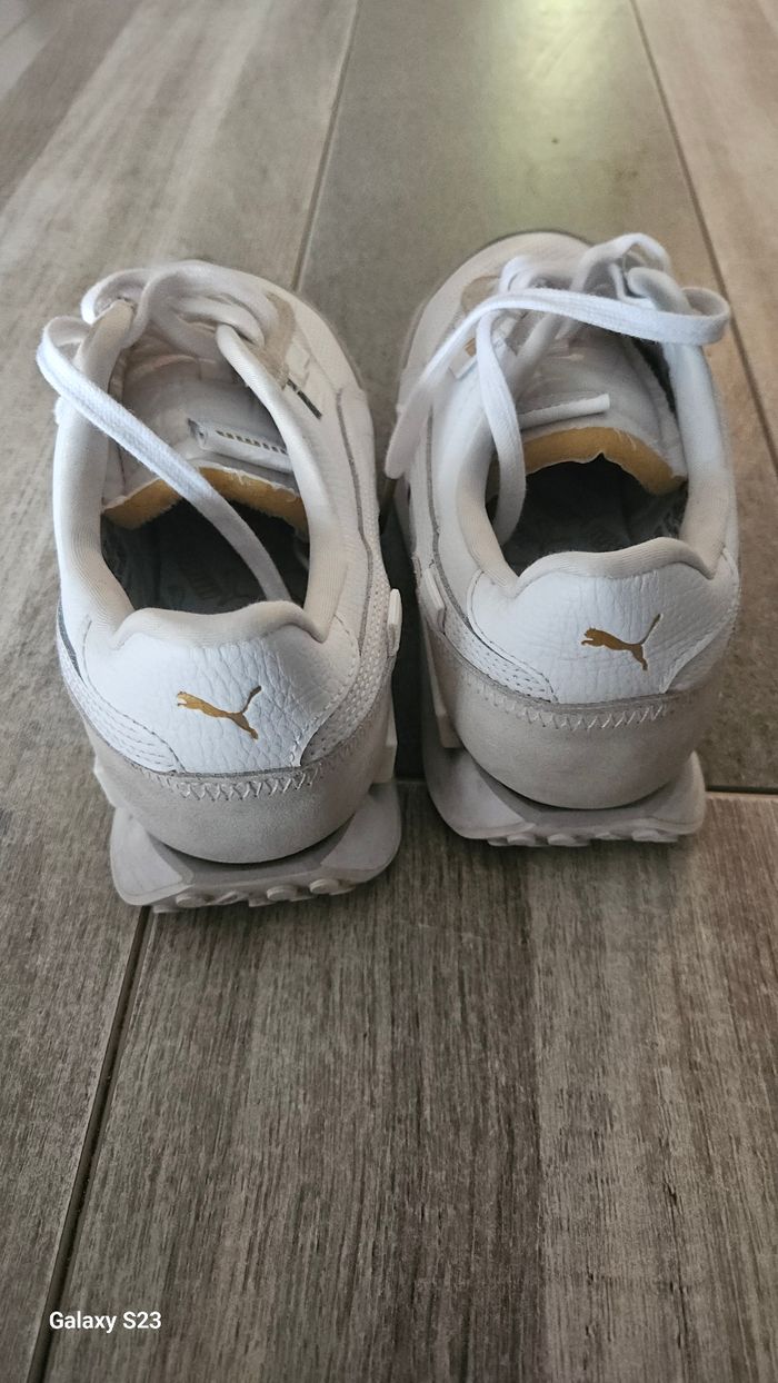 Basket puma
