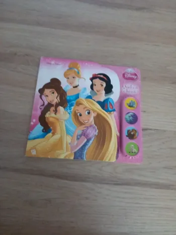 Livre princesses disney