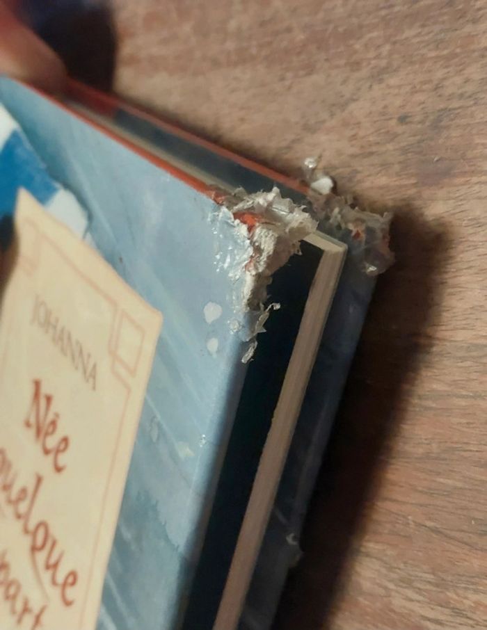 BD Née quelque part - photo numéro 5