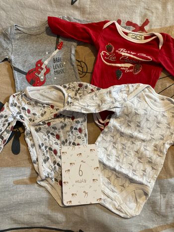 Lot de 4 bodies manches longues taille 6 mois