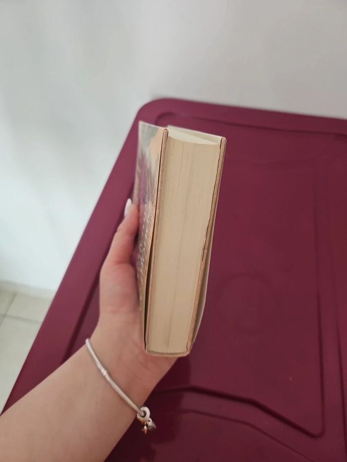 Livre "Le printemps de ce monde" - photo numéro 5