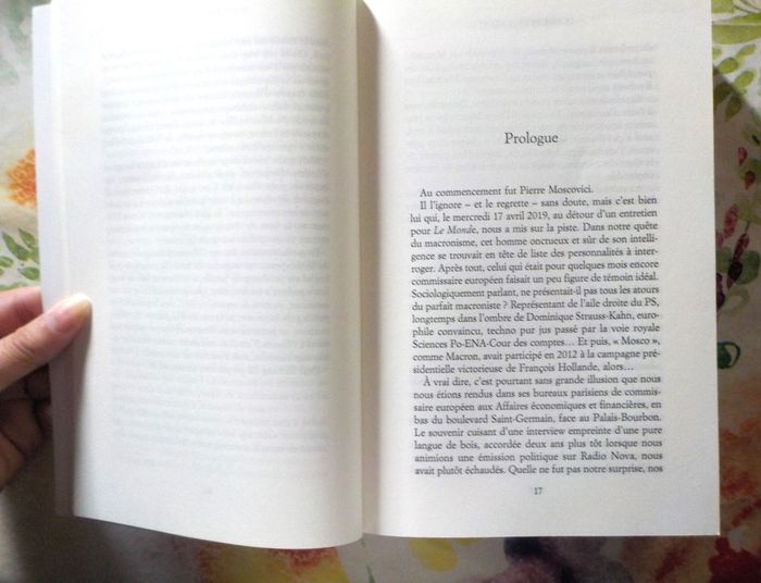 LE TRAITRE ET LE NEANT (MACRON) par G. DAVET e F. LHOMME Ed. Fayard - photo numéro 6
