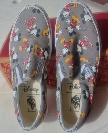 Basket vans