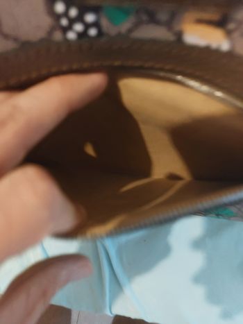 Sacoche gucci tigre excellent état