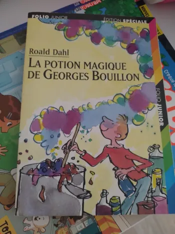 Livre La potion magique de Georges bouillon
