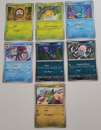 Lot cartes Pokémon