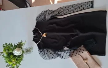 Petite robe noire