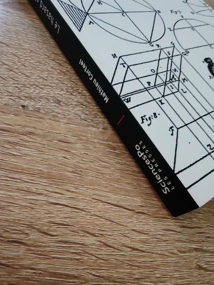 Mathieu Corteel 🌸 Le hasard et le pathologique - photo numéro 4