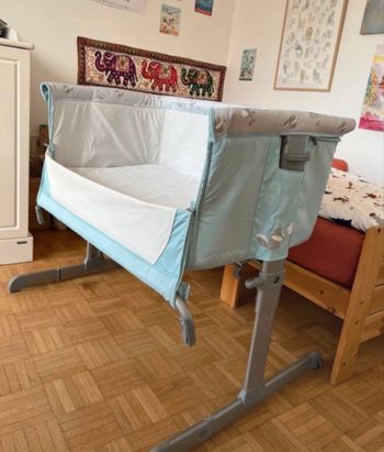 Cododo bébé 