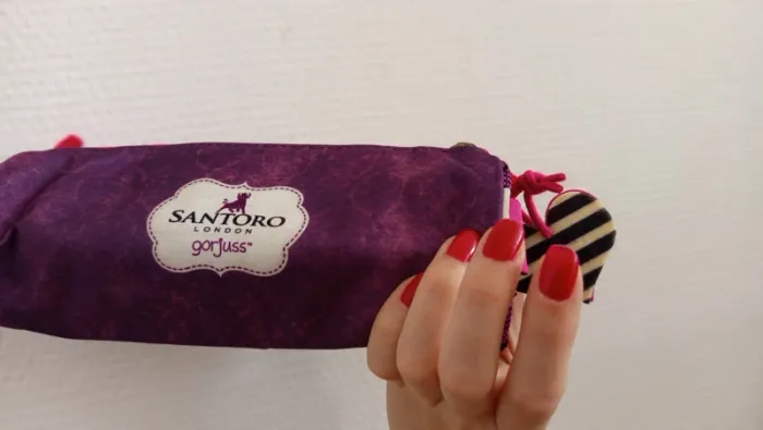 Trousse 🔸 Santoro - photo numéro 2