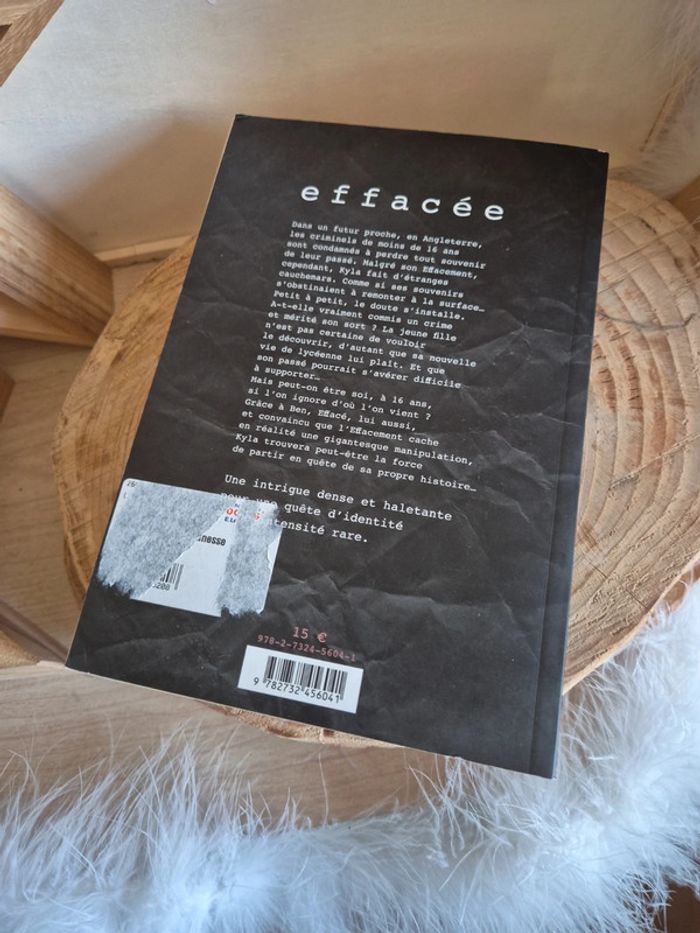 Livre Effacée - photo numéro 2