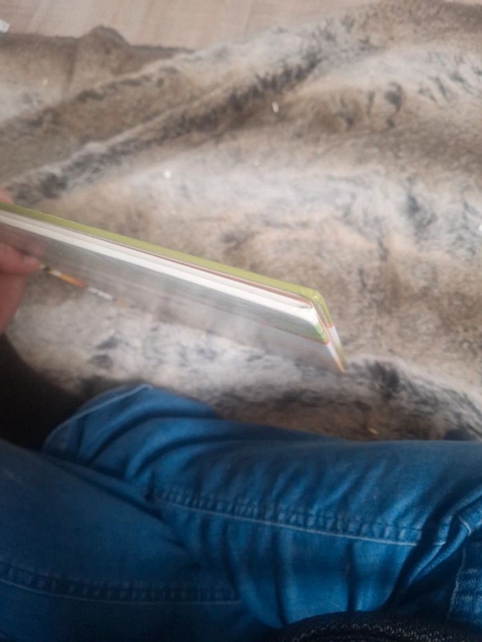 Livres les chevaux - photo numéro 5