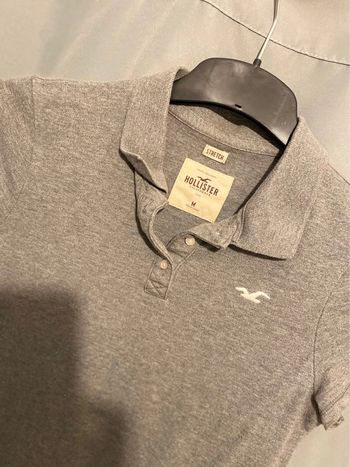 Polo Hollister