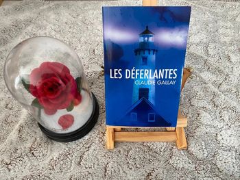 Livre les déferlantes de Claudie Gallay
