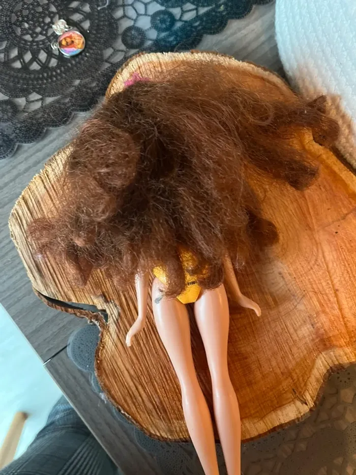 Barbie La Belle - photo numéro 3