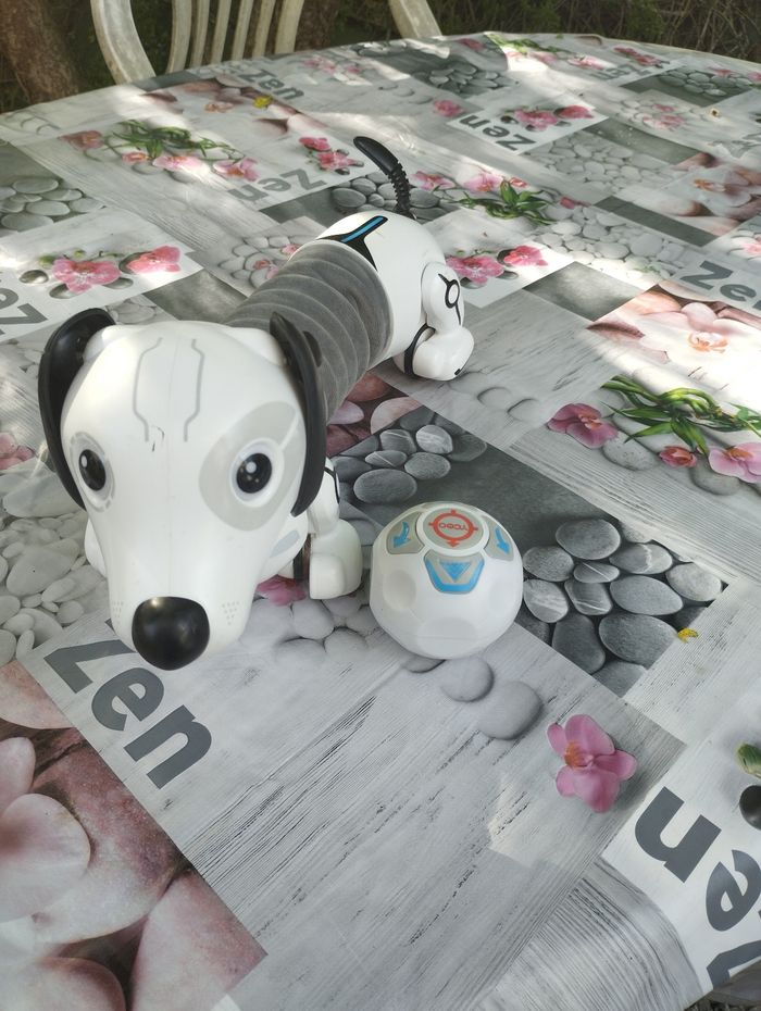 Robot chien