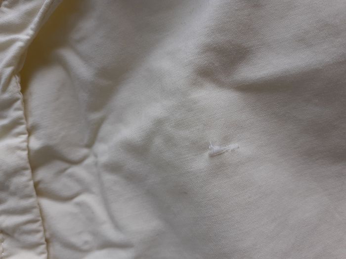 Short - photo numéro 3