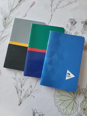 Lot de 3 petits carnets