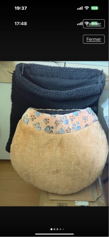 Transat et niche pour chat