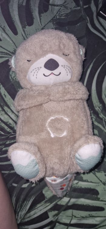 Loutre