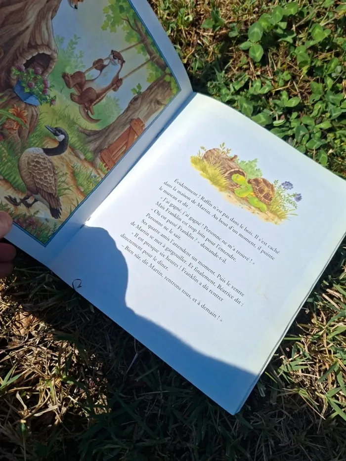 Livre franklin s est perdu - photo numéro 3