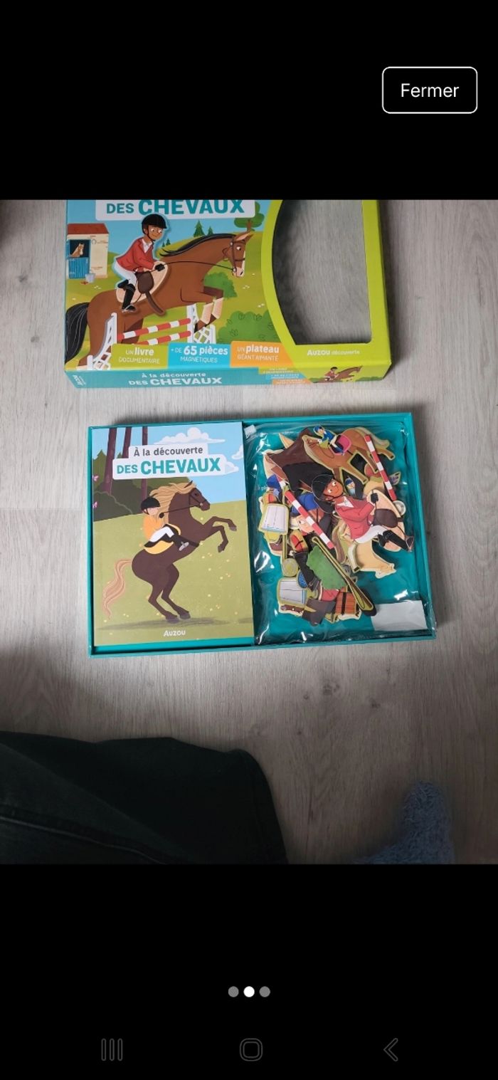 Découverte des chevaux - photo numéro 2