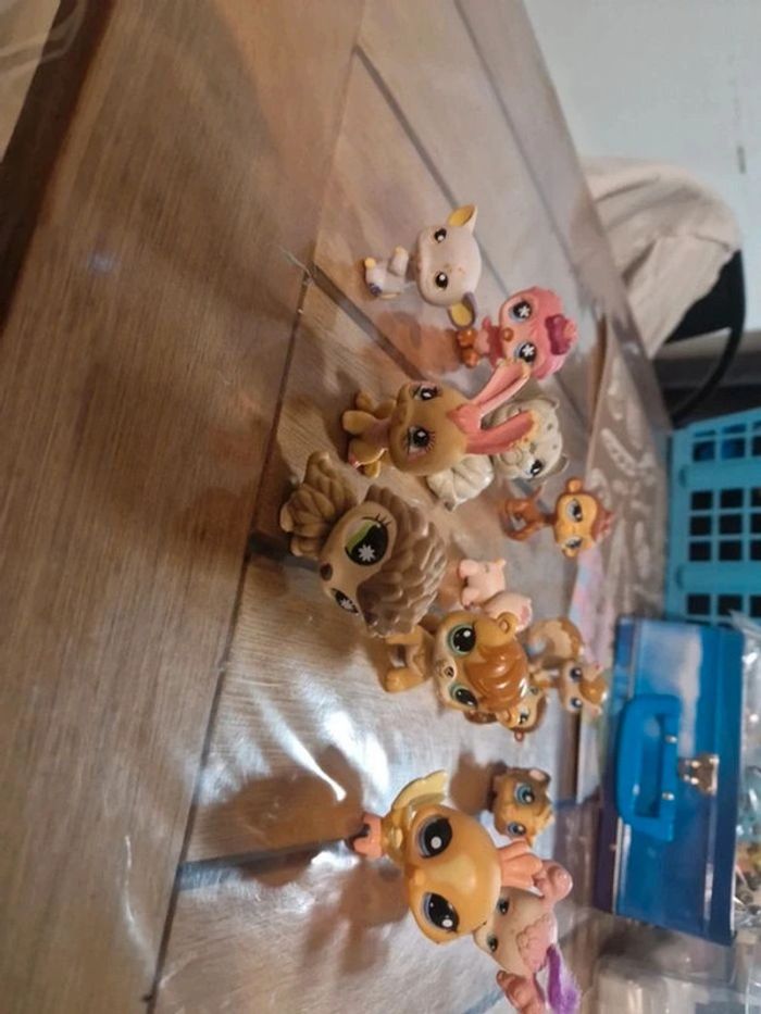 Lot petshop - photo numéro 6