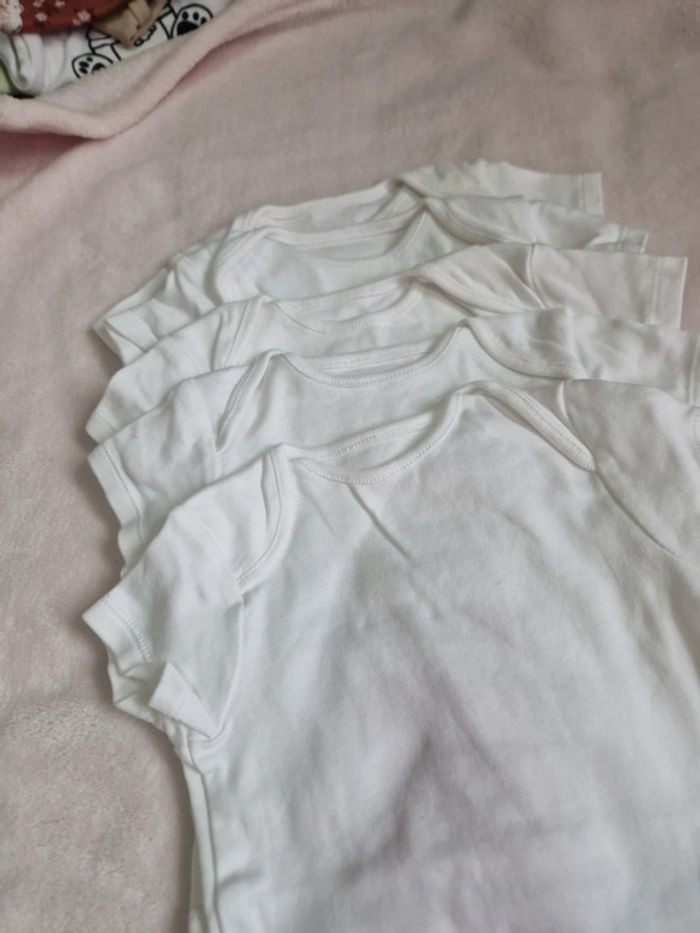 Body 6m cp - photo numéro 3