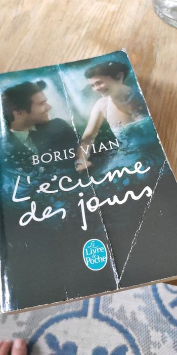 L'écume des jours