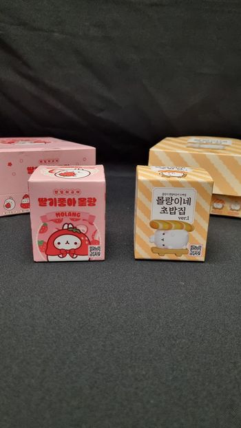 Lot de 2 Blind Box Molang Fraise et Sushi - Corée du Sud