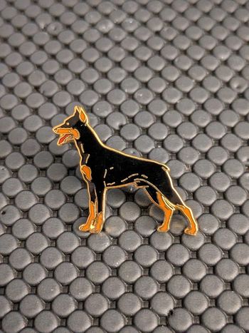 Pin's Dobermann chien Belle qualité, fermoir Luxe