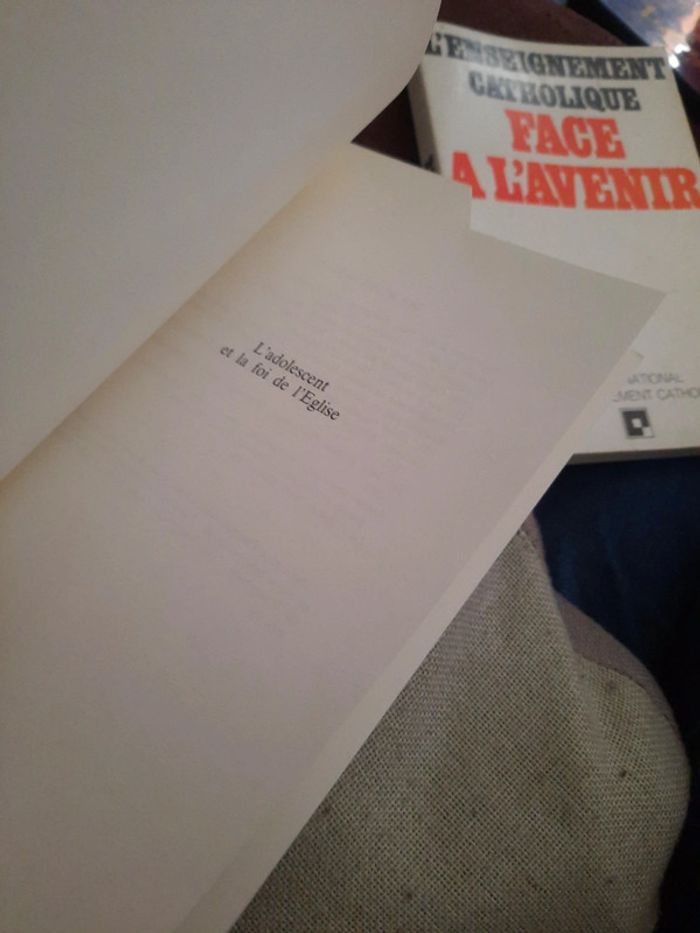 L'adolescent et la foi de leglise - photo numéro 8