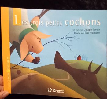 Livre les trois petits cochons