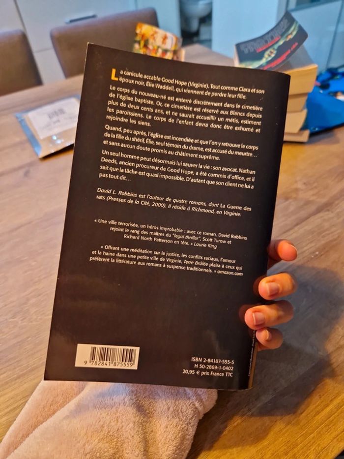 David robbins terre brulée - photo numéro 2