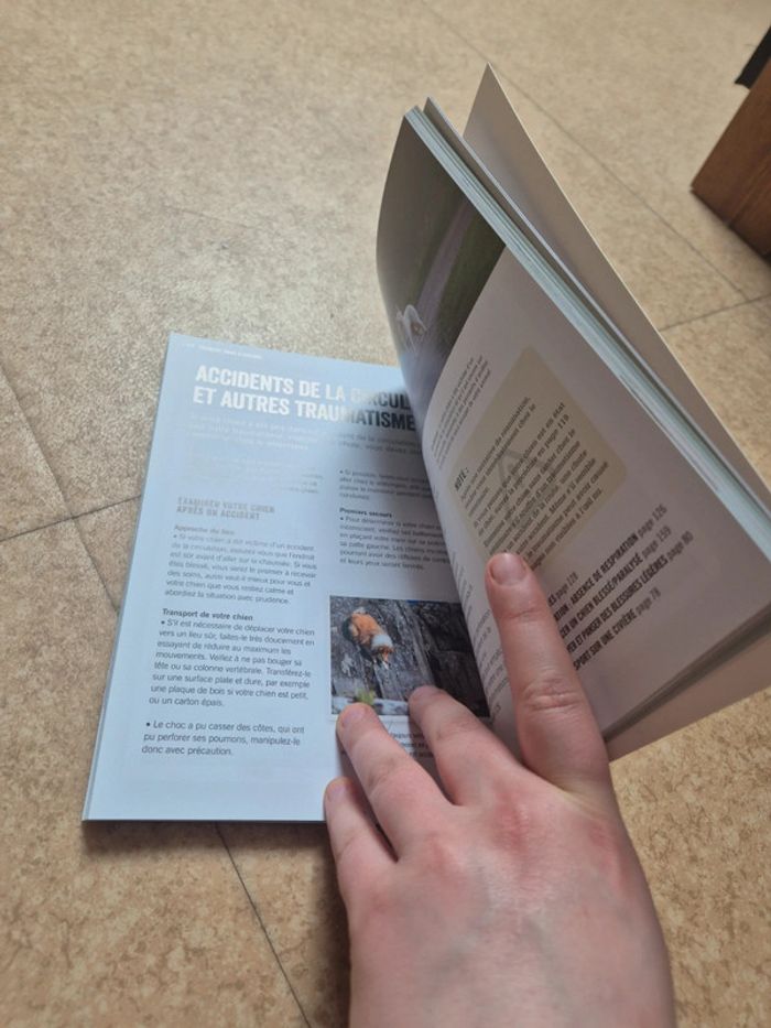 Premiers soins pour mon chien - photo numéro 3