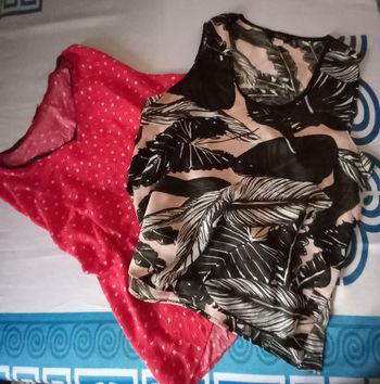 Lot de 2 tops taille 44 Firefly et Esmara