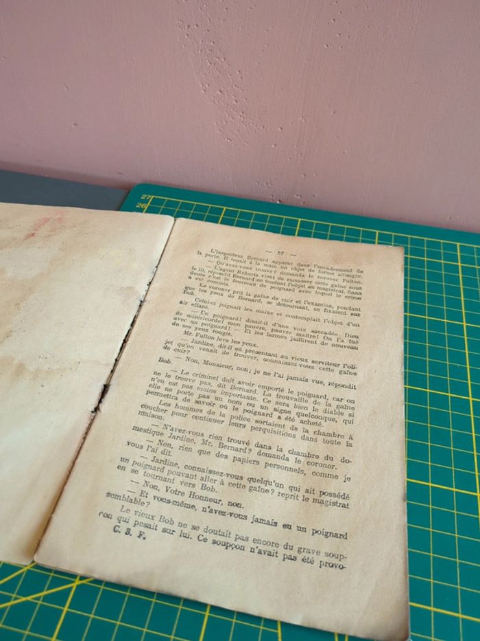 Comtesse et mendiante la destinée roman - photo numéro 4