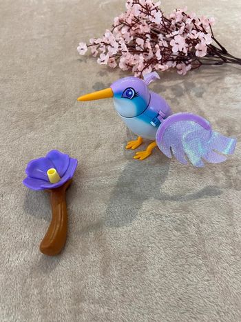 Colibri interactif