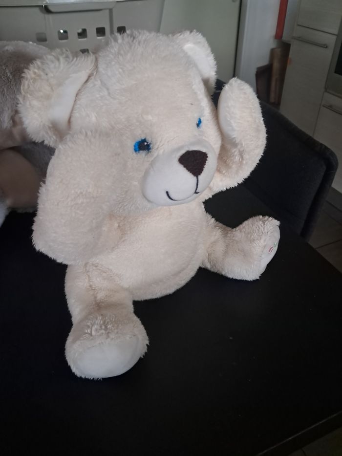 Ours caché coucou gipsy